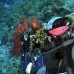 coral_soft_bro_l_ni_v_0439_egy1795.jpg
